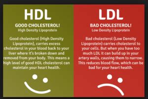 How to Lower Your Elevated LDL Cholesterol | Team Live It