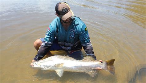 The Ultimate Guide To Cairns Barramundi Beach Fishing Queensland