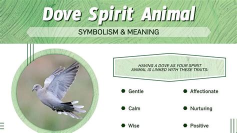 The Spiritual Meaning Of Dove Symbolism And Significance Explored