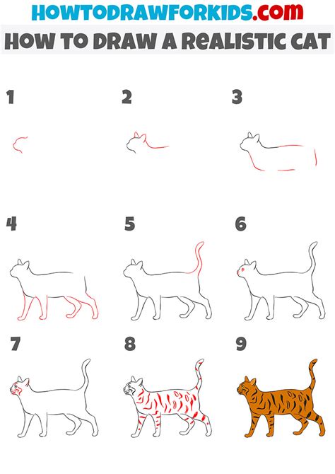 Easy Realistic Drawings For Beginners Step By Step