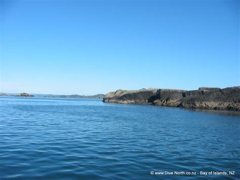 Dive North Bay Of Islands Northland Nz 96 Travel Reviews For Dive