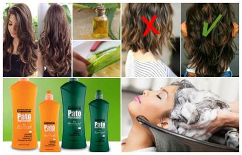 Embri N De Pato Para El Cabello Beneficios Y Propiedades