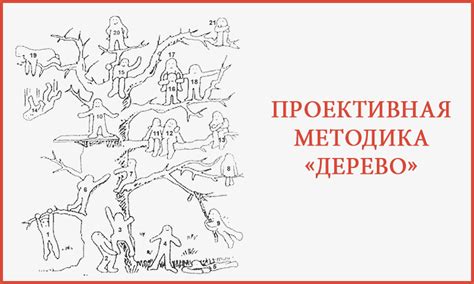 Тест С Деллингер - dolphincatalog