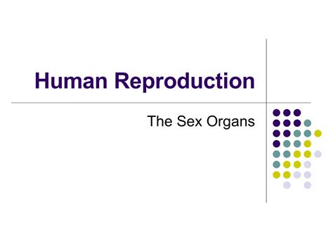 Human Reproduction Sex Organs Ppt