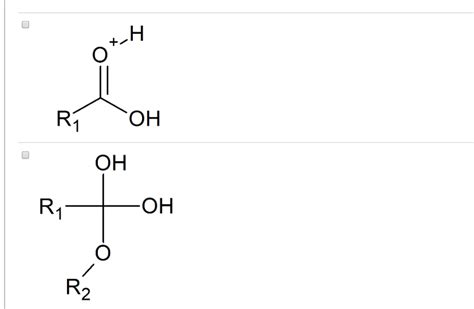 Solved Consider The Below General Fischer Esterification Chegg