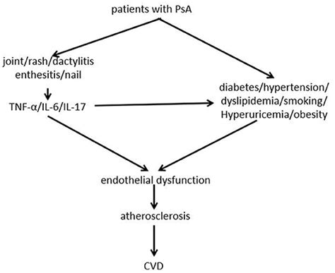 Frontiers Related Risk Factors And Treatment Management Of Psoriatic Arthritis Complicated