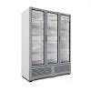 Refrigerador Puertas Imbera G P Praim Mx