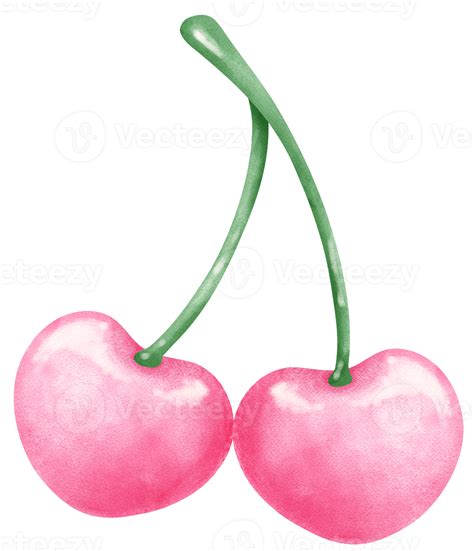 Hot Pink Cherries In Heart Shape Watercolor PNG