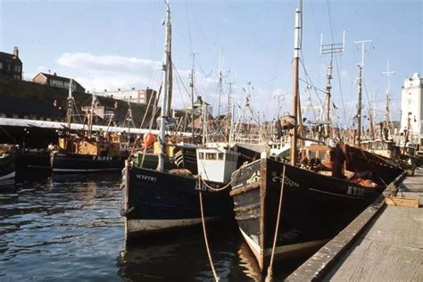 A Day At North Shields Fish Quay In 1973 And The Rise Of A Famous