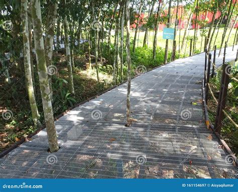 Hanging Pedestrian Pathway Made From Galvanized Iron Mesh And Supported