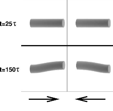 Figure From Dynamic Counterpropagating Vector Solitons In Saturable