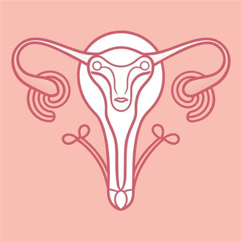 Premium Vector One Continuous Line Drawing Of Woman Uterus