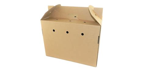 Cardboard Pet Carrier Nevilles Nest