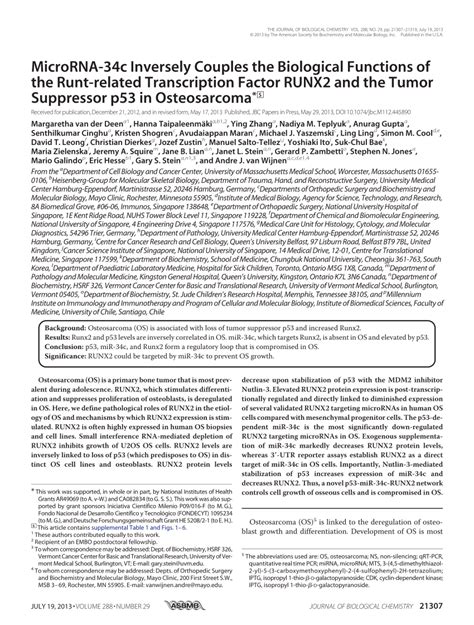 Pdf Microrna C Inversely Couples The Biological Functions Of The