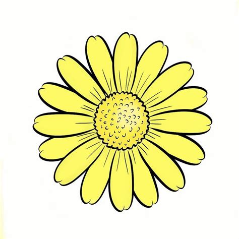 Yellow Flower Drawing