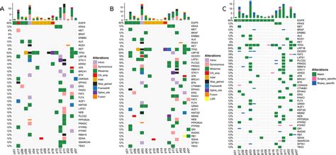 Mutational Landscape And Concordance Analysis A Genetic Profiles Of Download Scientific