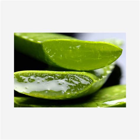 Raw Aloe Vera Juice HAIR I SKIN I SCALP Brightens Hydrates Soothes ...