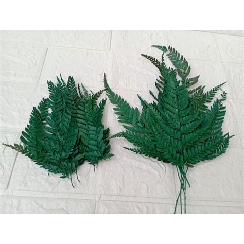 Jual DAUN PAKIS KERING PRESSED LEATHER LEAVES WARNA Pink Hijau Ungu