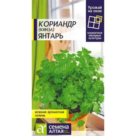 Зелень Кориандр Янтарь/Сем Алт/цп 2 гр. УРОЖАЙ НА ОКНЕ! !. Семена Алтая
