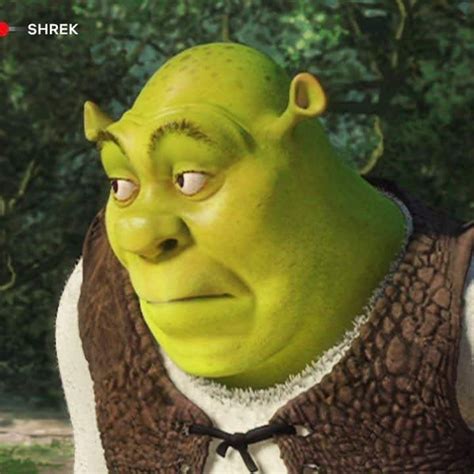 Pin on Meme | Shrek, Carnival face paint, Statue