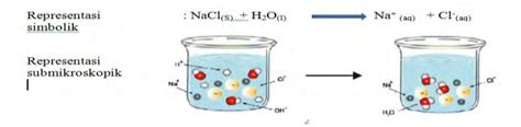 Dissolution of salt representation | Download Scientific Diagram