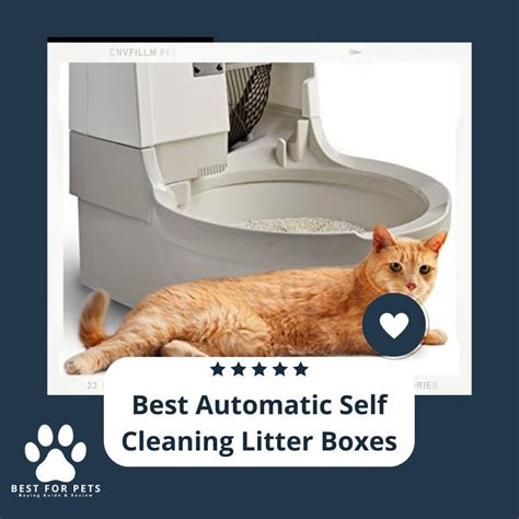 12 Best Automatic Self Cleaning Litter Boxes