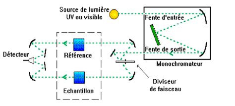 Pr Sentation Sch Matique Du Spectrophotom Tre Uv Visible