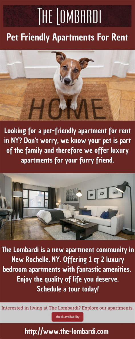 Pet-Friendly Apartments for Rent | Pet friendly apartments, Pet friendly, Dog clinic