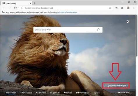 Activar O Desactivar Imagen Del Día En Microsoft Edge 2025