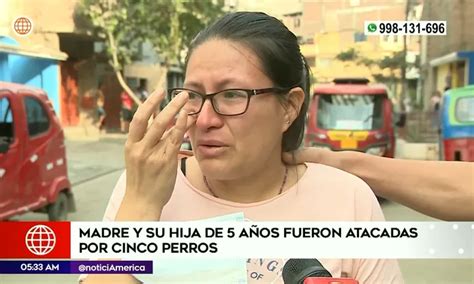 San Juan De Lurigancho Madre Y Su Hija De 5 Años Fueron Atacadas Por Cinco Perros