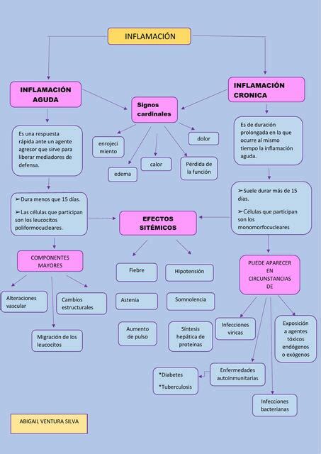 Inflamación aguda y crónica Abii Ventura uDocz