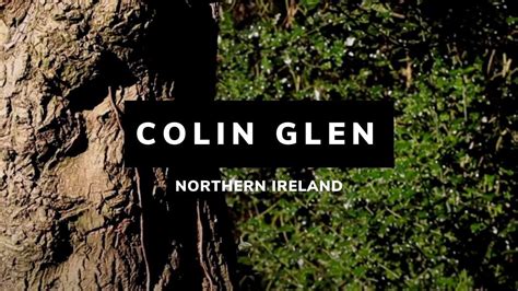 Colin Glen Colin Glen Forest Park Belfast Northern Ireland