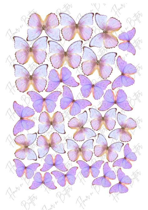 Pack Of 31 4 5cm Edible Pre Cut Wafer Butterfly Pink And Purple Edible