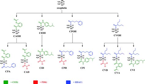 Triple Action Pt Iv Derivatives Of Cisplatin A New Class Of Potent