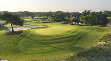 Play Golf At Sea Island Georgia Golf Resort Sea Island Resort