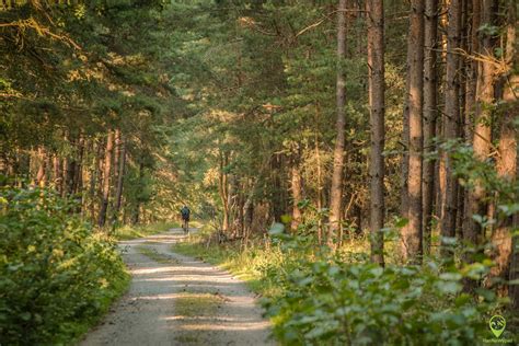 Krynica Morska Najciekawszych Atrakcji Co Warto Zobaczy