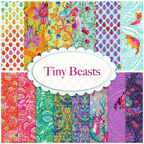 The Cover Of Tiny Beasts Featuring Many Colorful Patterns And Designs