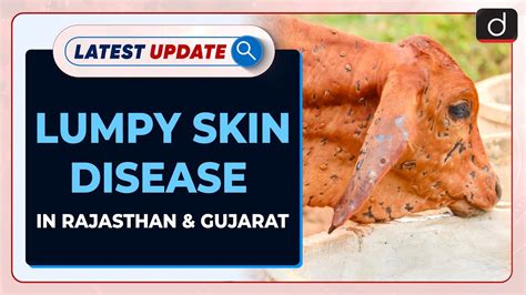 Lumpy Skin Disease In Rajasthan And Gujarat Latest Update Drishti Ias