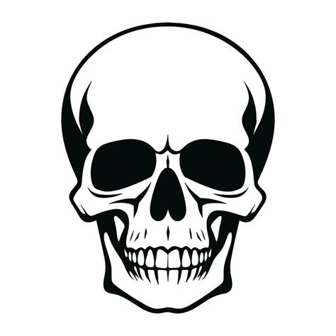 A Black Silhouette Skull Vector 34773468 Vector Art At Vecteezy