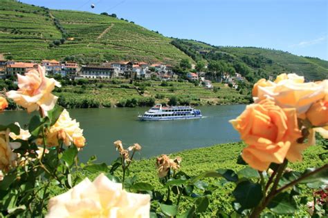 1 Day Douro Cruises Roteiro Do Douro