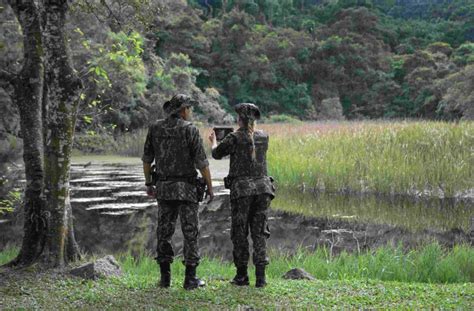 Polícia Ambiental divulga balanço de ações de 2021 VerdadeOn