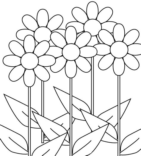 Fruehlingsblumen Ausmalbilder Dekoking Flower Coloring Pages