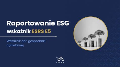 Raportowanie Esg Wska Nik Esrs E Velma Esg