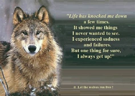 Wolf spirit animal, Spirit animal quotes, Lone wolf quotes