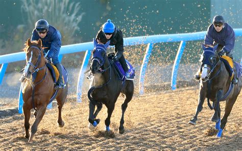 【ジャパンc】オークス馬ユーバーレーベン、秋華賞13着からの巻き返しへ上昇ムード Umatoku 馬トク