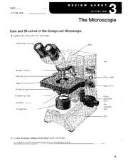 Exercise The Microscope Pre Lab Quiz Exercise Poster