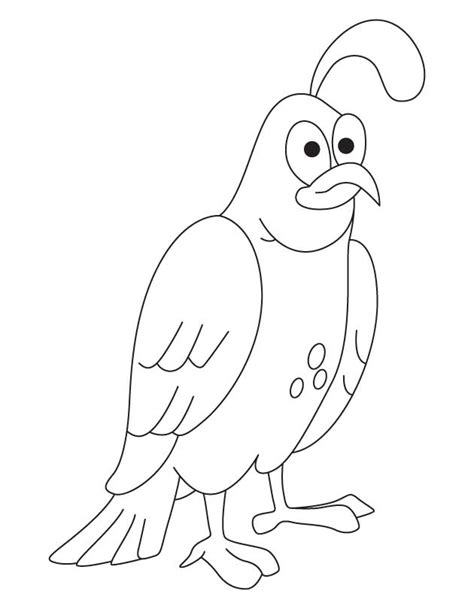 Common Quail Coloring Page Download Free Common Quail Coloring Page