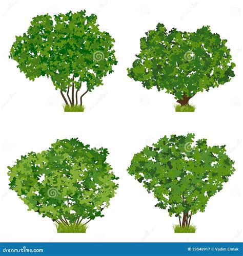 Green Shrubs Vector Set Stock Vector Illustration Of Leaf 29548917