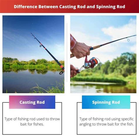 Casting Rod Vs Spinning Rod Difference And Comparison