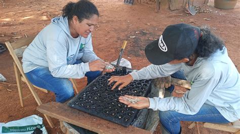 20220510 13 Treinamento Viveiro Faganello 4 Black Jaguar Foundation